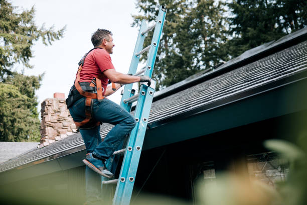 Best Gutter Installation and Repair  in Prospect Rk, PA